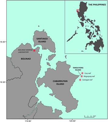 Increased Coral Larval Supply Enhances Recruitment for Coral and Fish Habitat Restoration